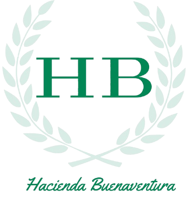haciendabuenaventura.com